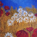 082-poppies-and-ox-eye-daisies