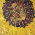 097-the-centre-of-a-sunflower-2