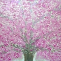 105-blossom-tree-in-the-spring